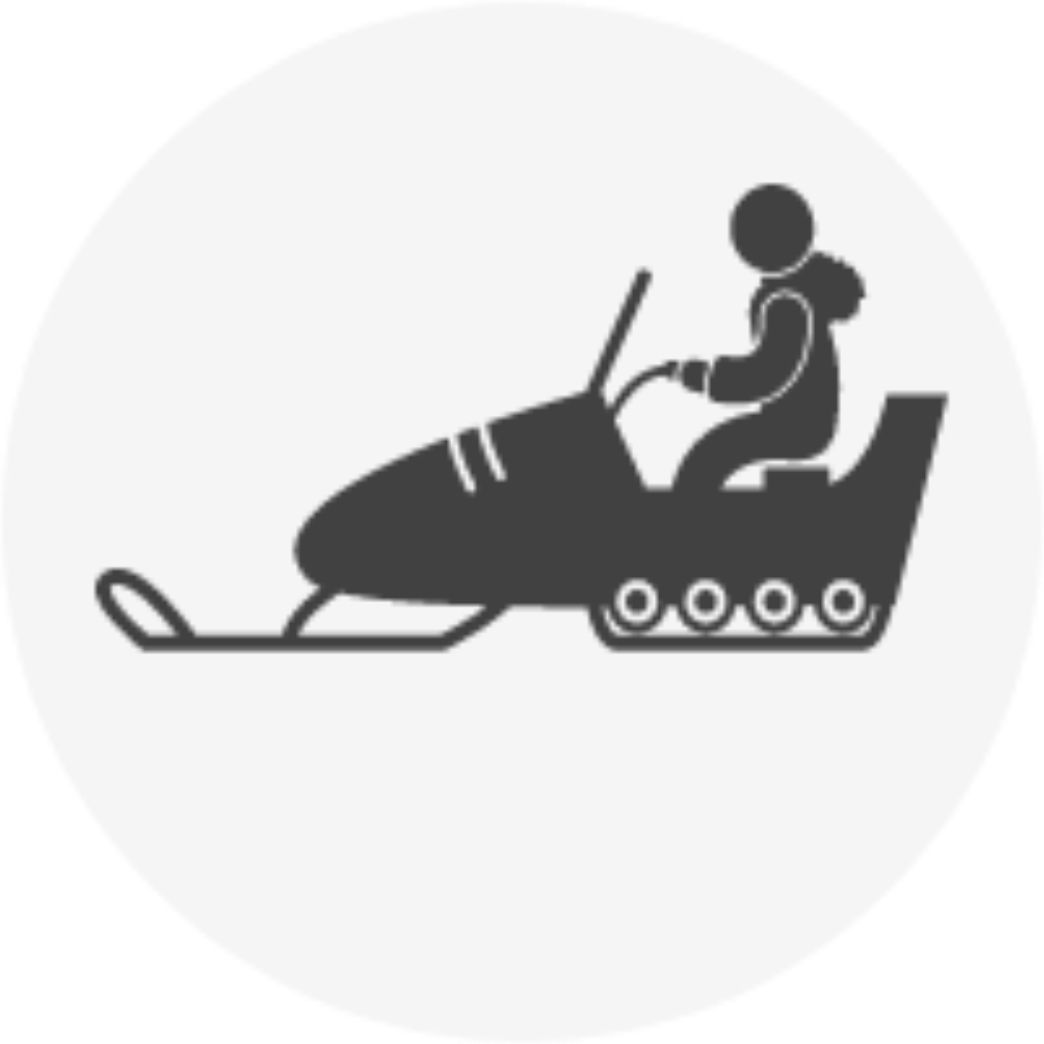 light logo